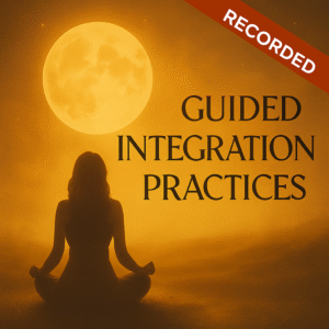 Guided Integration Practices