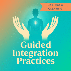 Guided Integration Practices